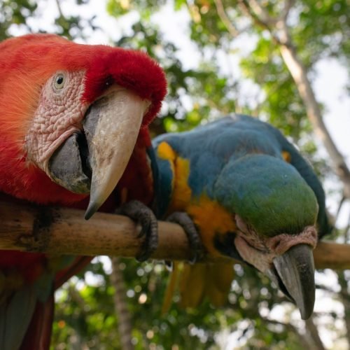 Photo by <a href="https://unsplash.com/@ayvivan1" rel="nofollow">Ivan Vicente</a> on <a href="https://unsplash.com/?utm_source=hostinger&utm_medium=referral" rel="nofollow">Unsplash</a> 